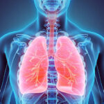 Ilustración vías respiratorias